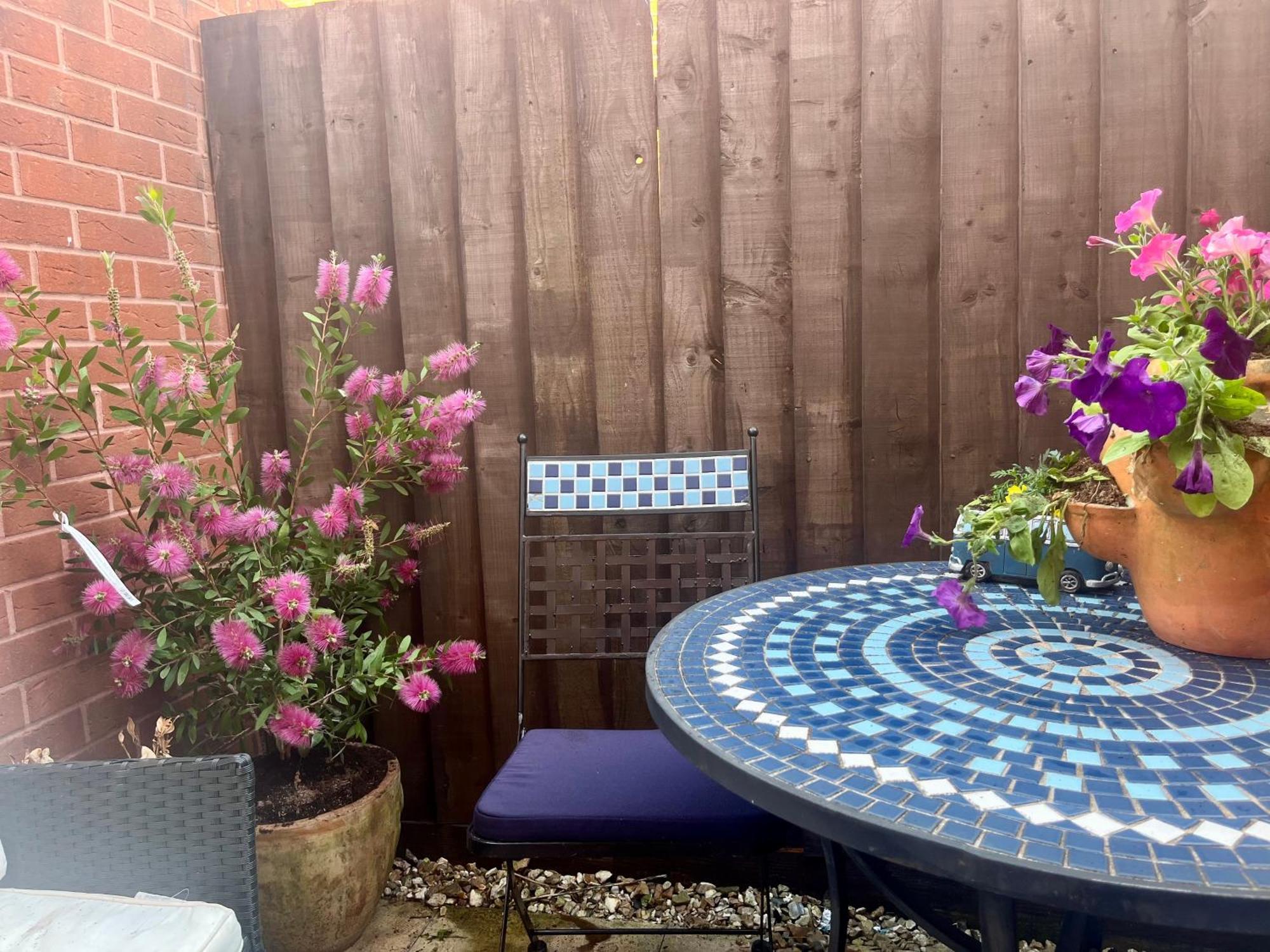 Vila Entire Two Bed Coach House Super King Beds Turn Into Singles Exeter Exteriér fotografie